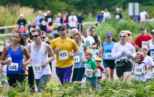 Screen Shot 2014-04-17 at 3.18.28 PM