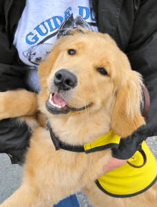 Screen Shot 2014-04-17 at 3.36.04 PM